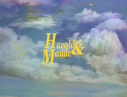 Harold and Maude by John Dunn