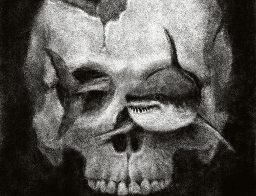 Jaws by Bjorn Nelissen