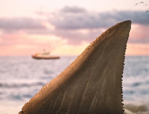 Jaws by Madix Ware