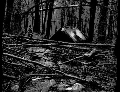 The Blair Witch Project by NeonOddity
